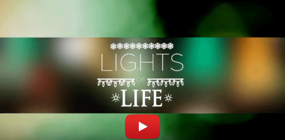 Lights of LIFE
